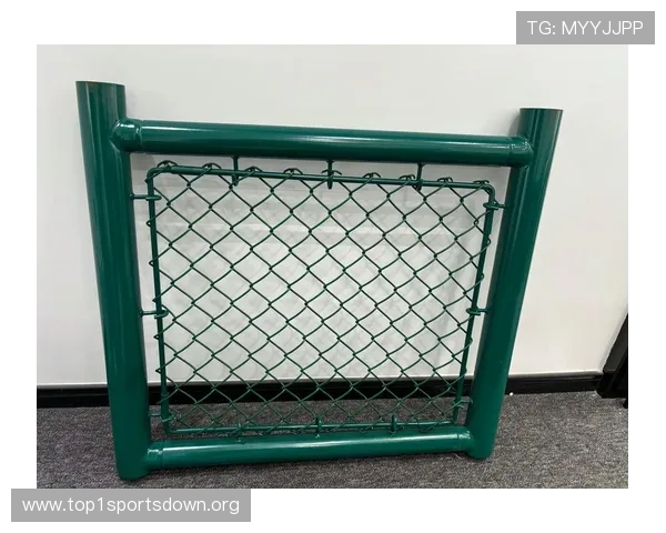 专业体育场围网厂家提供多种材质选择，满足不同运动场地的安全与美观需求